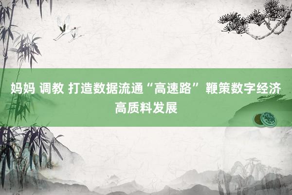 妈妈 调教 打造数据流通“高速路” 鞭策数字经济高质料发展