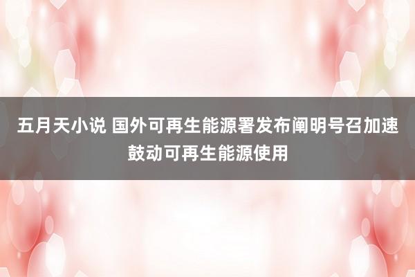 五月天小说 国外可再生能源署发布阐明号召加速鼓动可再生能源使用