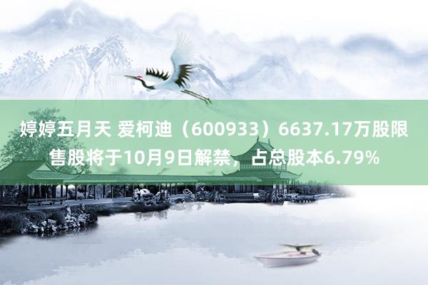 婷婷五月天 爱柯迪（600933）6637.17万股限售股将于10月9日解禁，占总股本6.79%