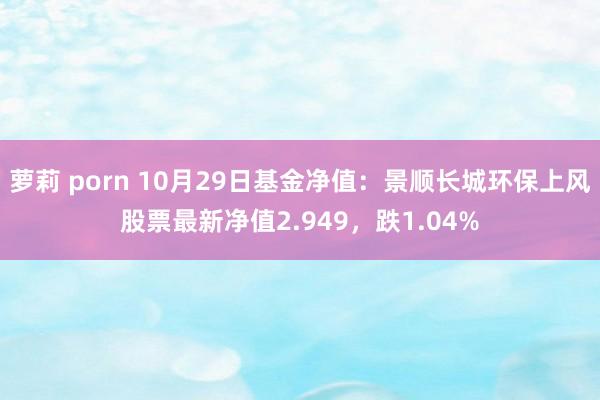 萝莉 porn 10月29日基金净值：景顺长城环保上风股票最新净值2.949，跌1.04%
