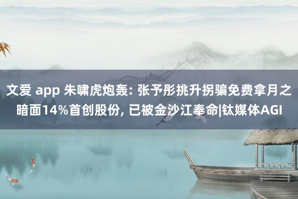 文爱 app 朱啸虎炮轰: 张予彤挑升拐骗免费拿月之暗面14%首创股份， 已被金沙江奉命|钛媒体AGI