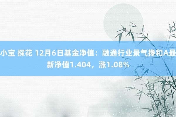 小宝 探花 12月6日基金净值：融通行业景气搀和A最新净值1.404，涨1.08%