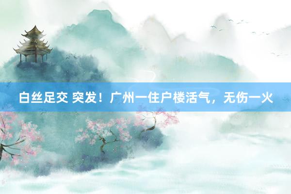 白丝足交 突发!广州一住户楼活气,无伤一火