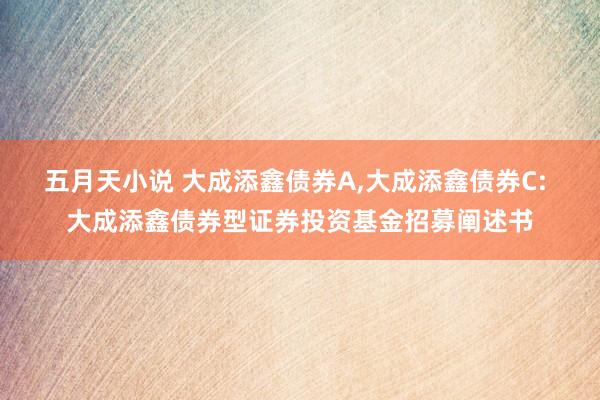五月天小说 大成添鑫债券A,大成添鑫债券C: 大成添鑫债券型证券投资基金招募阐述书