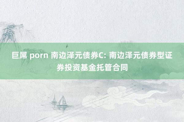 巨屌 porn 南边泽元债券C: 南边泽元债券型证券投资基金托管合同