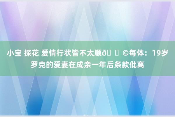 小宝 探花 爱情行状皆不太顺😩每体：19岁罗克的爱妻在成亲一年后条款仳离