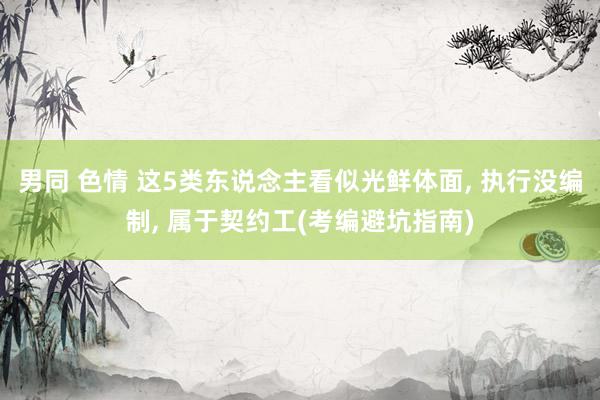 男同 色情 这5类东说念主看似光鲜体面， 执行没编制， 属于契约工(考编避坑指南)