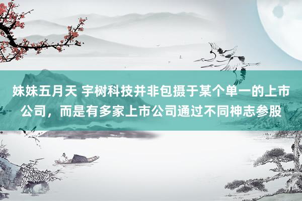 妹妹五月天 宇树科技并非包摄于某个单一的上市公司，而是有多家上市公司通过不同神志参股