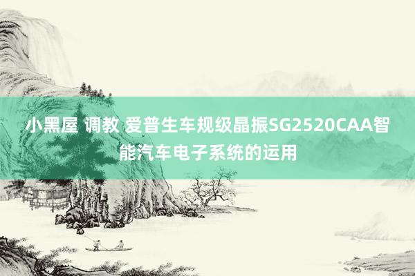 小黑屋 调教 爱普生车规级晶振SG2520CAA智能汽车电子系统的运用