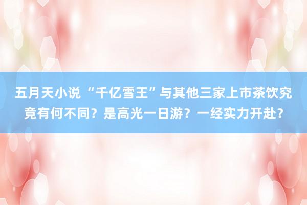五月天小说 “千亿雪王”与其他三家上市茶饮究竟有何不同？是高光一日游？一经实力开赴？