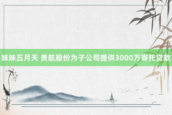 妹妹五月天 贵航股份为子公司提供3000万寄托贷款