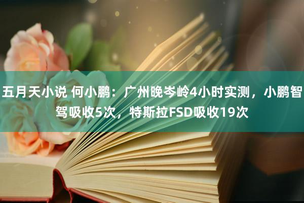 五月天小说 何小鹏：广州晚岑岭4小时实测，小鹏智驾吸收5次，特斯拉FSD吸收19次
