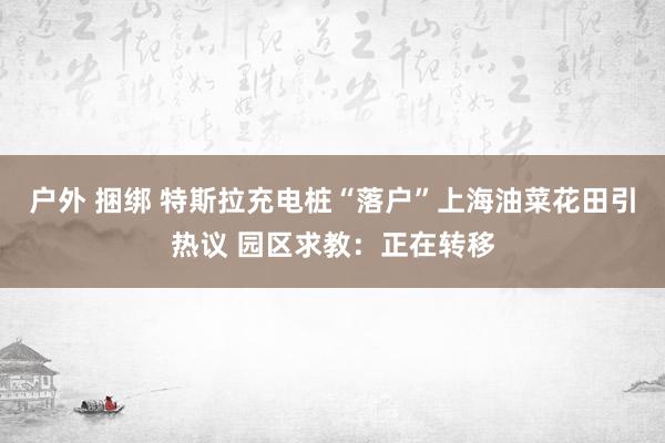 户外 捆绑 特斯拉充电桩“落户”上海油菜花田引热议 园区求教：正在转移