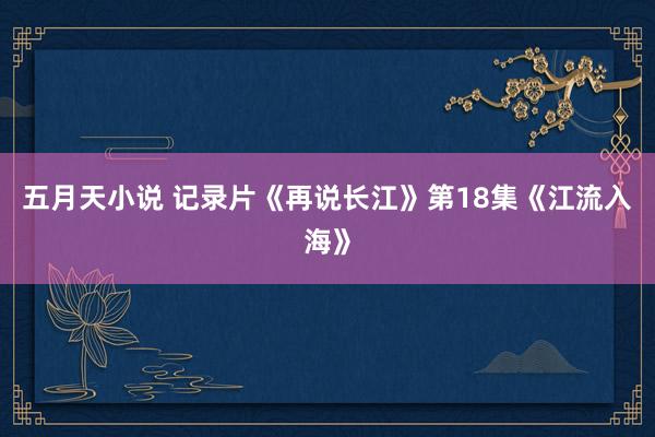 五月天小说 记录片《再说长江》第18集《江流入海》