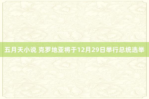五月天小说 克罗地亚将于12月29日举行总统选举