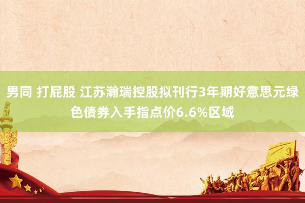 男同 打屁股 江苏瀚瑞控股拟刊行3年期好意思元绿色债券入手指点价6.6%区域