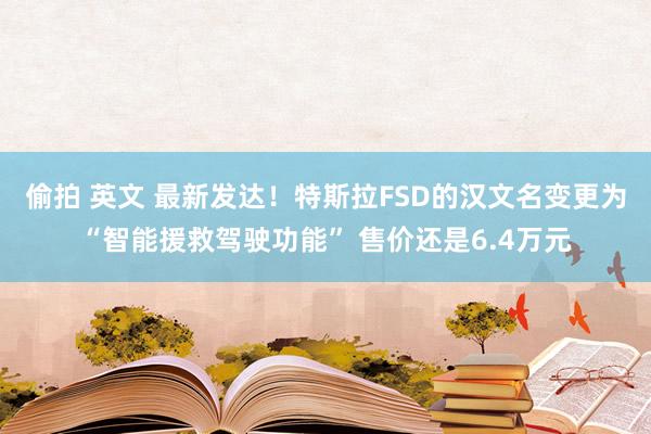 偷拍 英文 最新发达！特斯拉FSD的汉文名变更为“智能援救驾驶功能” 售价还是6.4万元