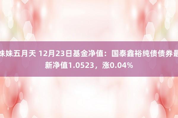 妹妹五月天 12月23日基金净值：国泰鑫裕纯债债券最新净值1.0523，涨0.04%