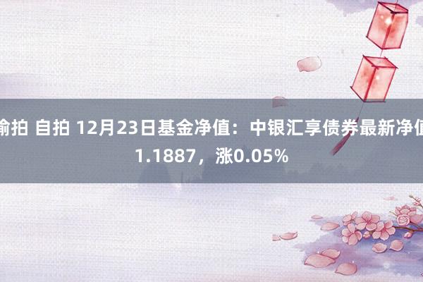 偷拍 自拍 12月23日基金净值：中银汇享债券最新净值1.1887，涨0.05%