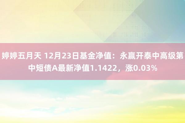 婷婷五月天 12月23日基金净值：永赢开泰中高级第中短债A最新净值1.1422，涨0.03%