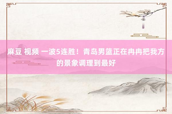 麻豆 视频 一波5连胜！青岛男篮正在冉冉把我方的景象调理到最好