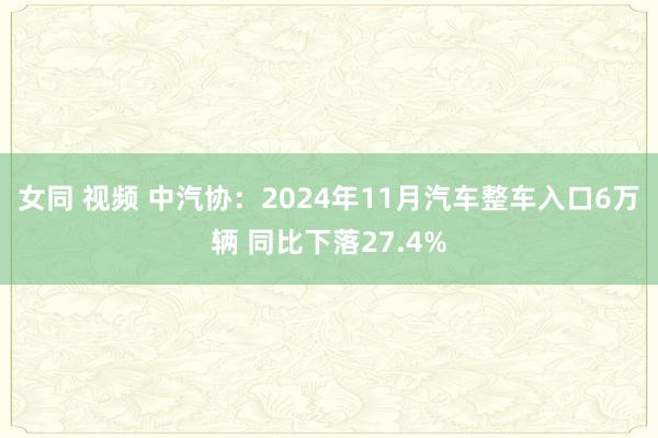 女同 视频 中汽协：2024年11月汽车整车入口6万辆 同比下落27.4%
