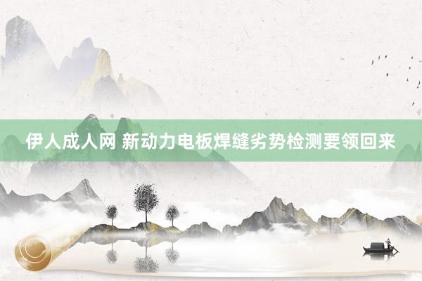 伊人成人网 新动力电板焊缝劣势检测要领回来