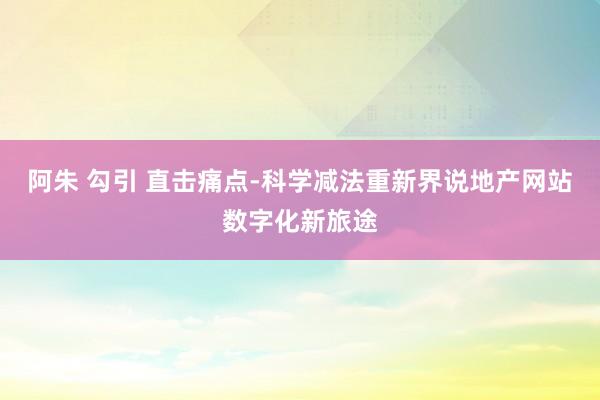 阿朱 勾引 直击痛点-科学减法重新界说地产网站数字化新旅途