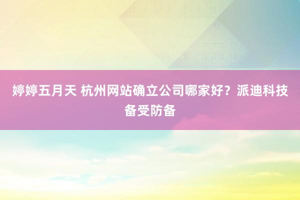 婷婷五月天 杭州网站确立公司哪家好？派迪科技备受防备