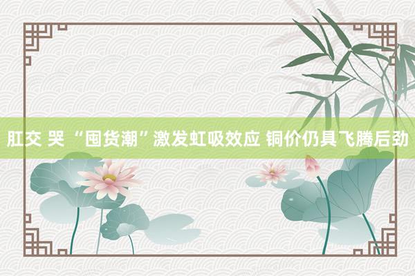 肛交 哭 “囤货潮”激发虹吸效应 铜价仍具飞腾后劲