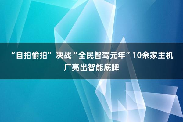 “自拍偷拍” 决战“全民智驾元年”10余家主机厂亮出智能底牌
