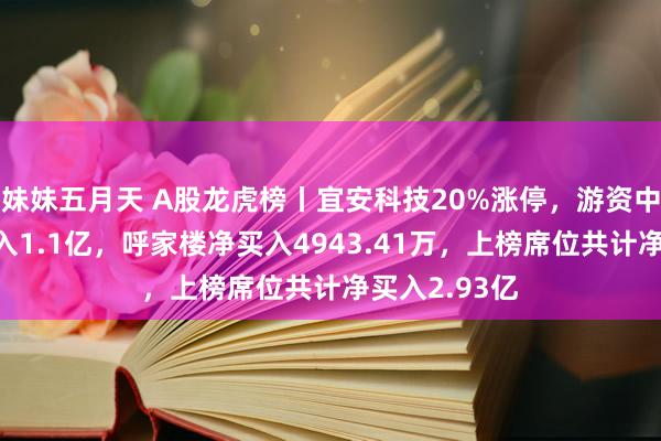 妹妹五月天 A股龙虎榜丨宜安科技20%涨停，游资中山东路净买入1.1亿，呼家楼净买入4943.41万，上榜席位共计净买入2.93亿