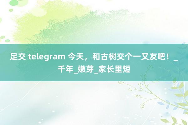 足交 telegram 今天，和古树交个一又友吧！_千年_嫩芽_家长里短