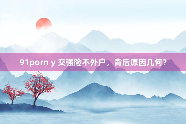 91porn y 交强险不外户，背后原因几何？