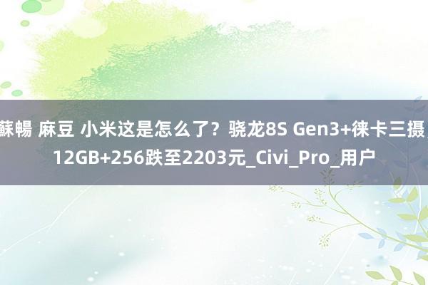 蘇暢 麻豆 小米这是怎么了？骁龙8S Gen3+徕卡三摄，12GB+256跌至2203元_Civi_Pro_用户