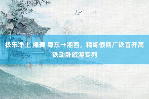 极乐净土 裸舞 粤东→湘西，精练假期广铁首开高铁动卧旅游专列