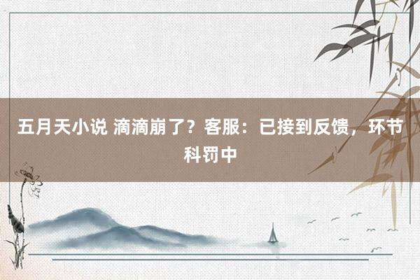 五月天小说 滴滴崩了？客服：已接到反馈，环节科罚中