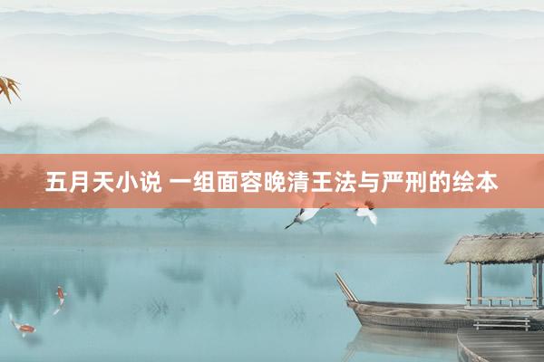 五月天小说 一组面容晚清王法与严刑的绘本