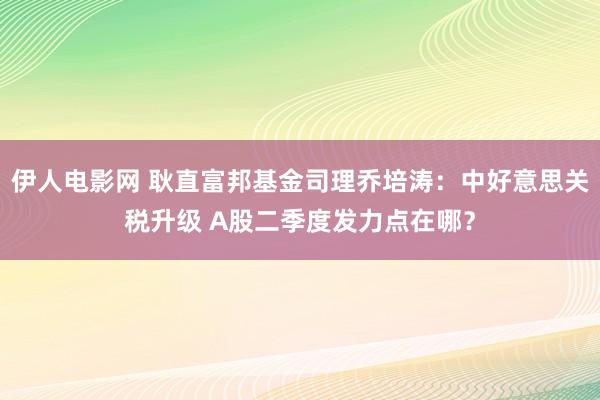伊人电影网 耿直富邦基金司理乔培涛：中好意思关税升级 A股二季度发力点在哪？