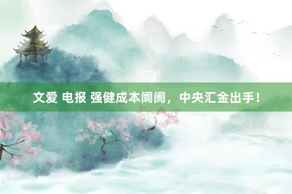 文爱 电报 强健成本阛阓，中央汇金出手！