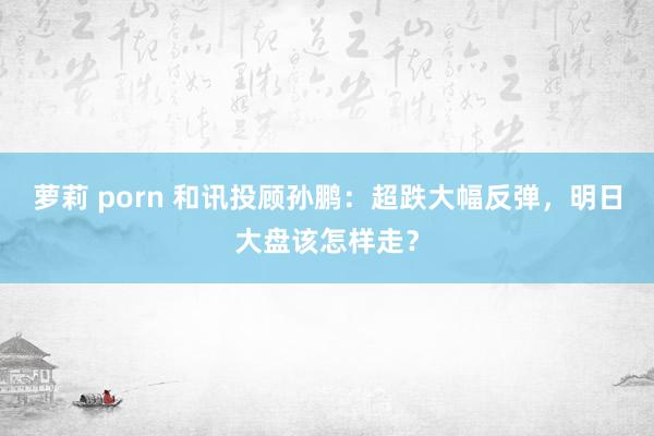 萝莉 porn 和讯投顾孙鹏：超跌大幅反弹，明日大盘该怎样走？