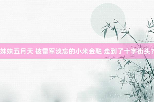 妹妹五月天 被雷军淡忘的小米金融 走到了十字街头？