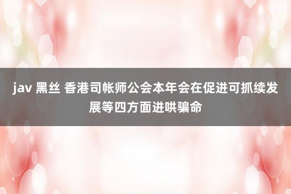 jav 黑丝 香港司帐师公会本年会在促进可抓续发展等四方面进哄骗命