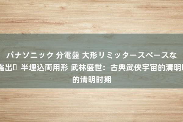 パナソニック 分電盤 大形リミッタースペースなし 露出・半埋込両用形 武林盛世：古典武侠宇宙的清明时期