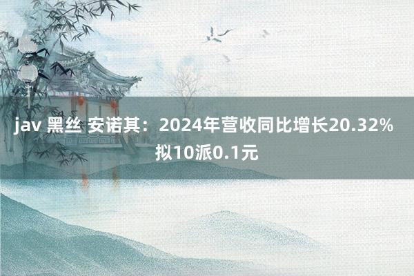 jav 黑丝 安诺其：2024年营收同比增长20.32% 拟10派0.1元