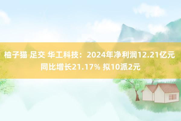 柚子猫 足交 华工科技：2024年净利润12.21亿元 同比增长21.17% 拟10派2元