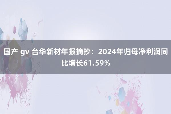 国产 gv 台华新材年报摘抄：2024年归母净利润同比增长61.59%