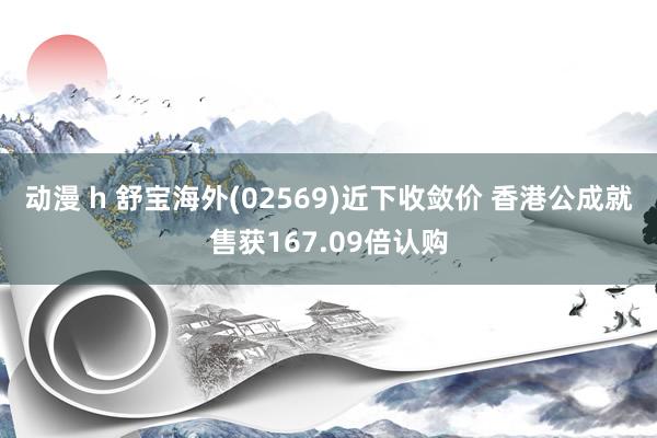 动漫 h 舒宝海外(02569)近下收敛价 香港公成就售获167.09倍认购