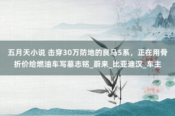 五月天小说 击穿30万防地的良马5系，正在用骨折价给燃油车写墓志铭_蔚来_比亚迪汉_车主