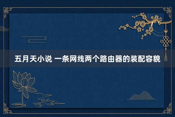 五月天小说 一条网线两个路由器的装配容貌